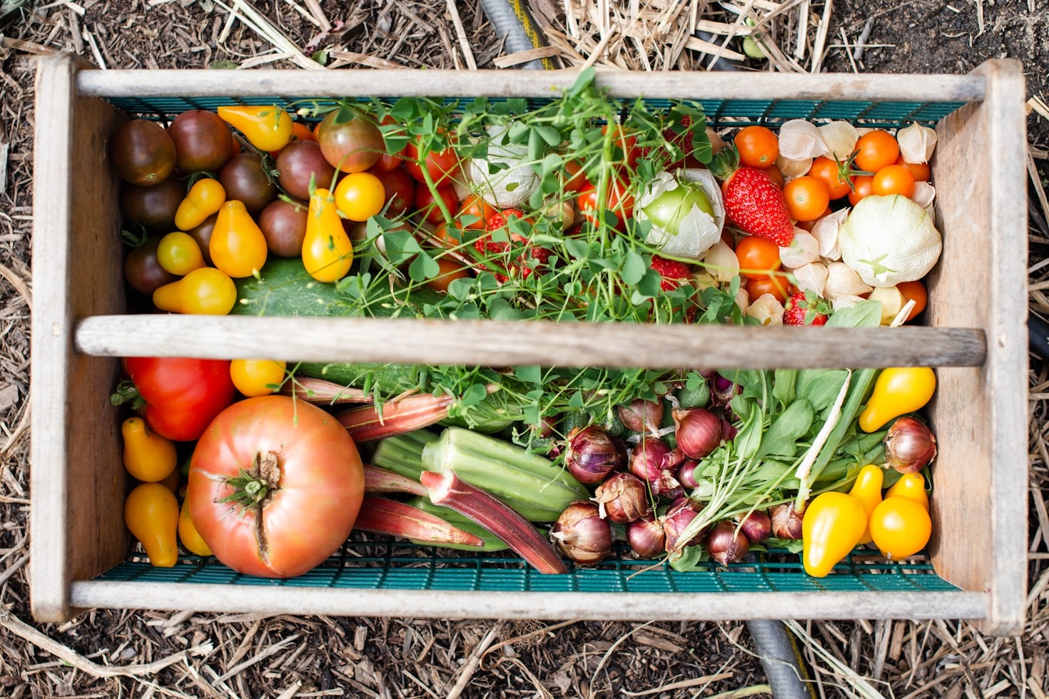 How Slow Living Can Transform Your Life