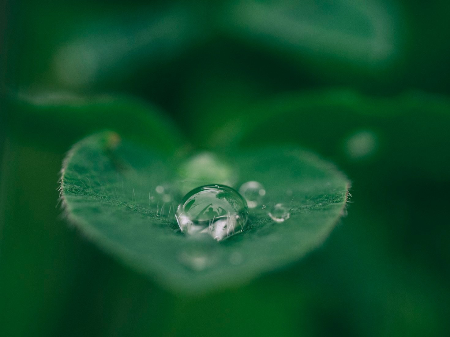 Top Tips for Building a Closer Connection with Nature