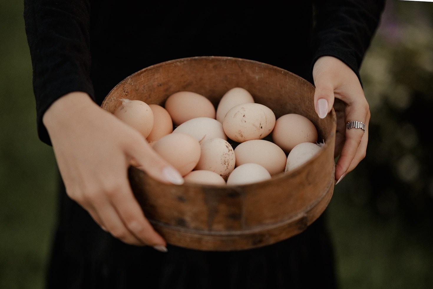 Essential Skills for a Successful Homesteading Journey